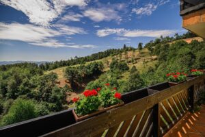 apartma zosi podčetrtek balkon2