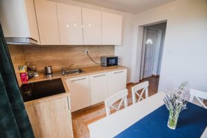 apartma zosi podčetrtek kuhinja