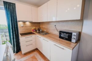 apartma zosi podčetrtek kuhinja1